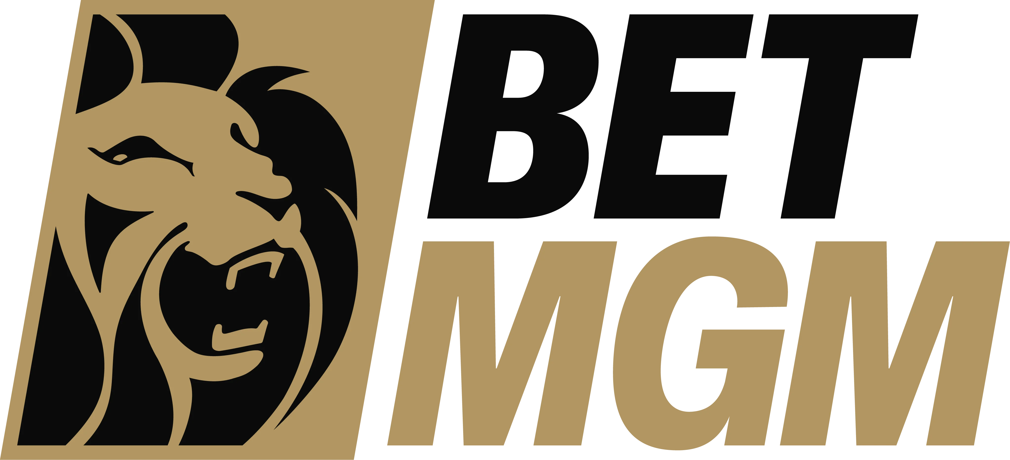 BetMGM Partners